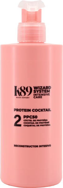 K89 IC Wizard System Protein Cocktail rekonstrukcija 2. solis